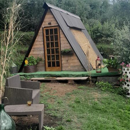 ברגה La Fatina Lodge מראה חיצוני תמונה