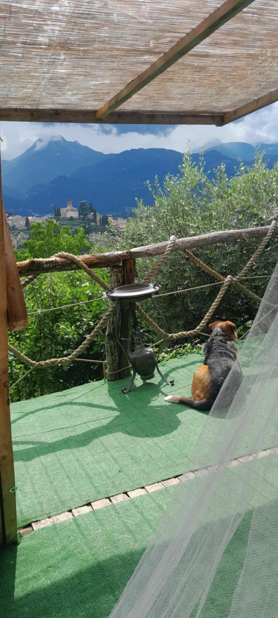 ברגה La Fatina Lodge מראה חיצוני תמונה